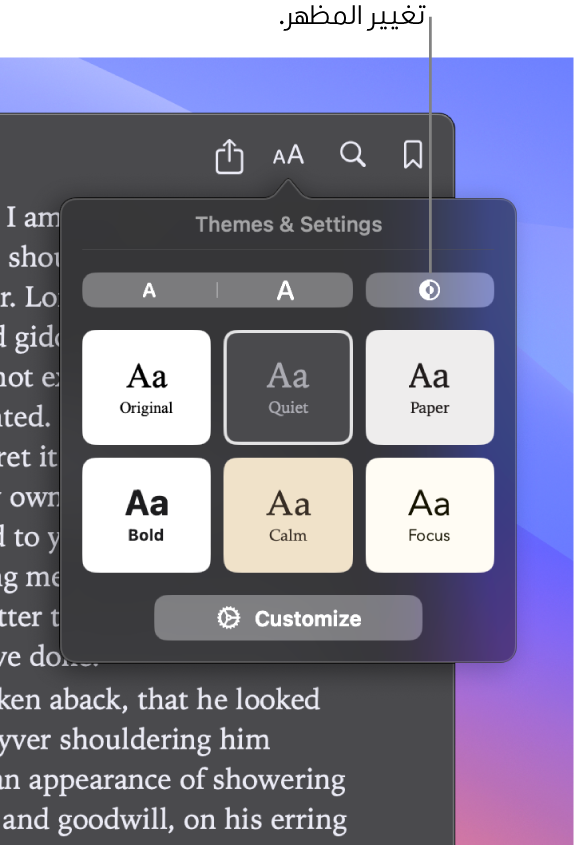 نافذة في تطبيق الكتب تعرض قائمة المظهر.