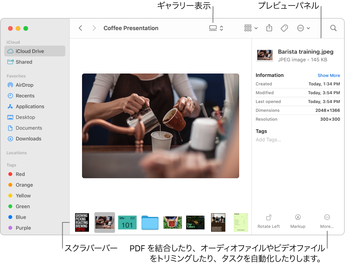 ギャラリー表示で開いているFinderウインドウ。大きい写真と、その下に1列に並んだ小さい写真（スクラバーバー）が示されています。回転やマークアップなどのコントロールがスクラバーバーの右側にあります。