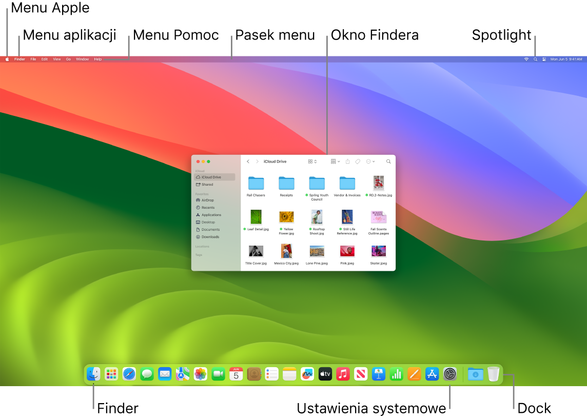 Ekran Maca zawierający menu Apple, menu aplikacji, menu Pomoc, pasek menu, okno Findera, ikonę Spotlight, ikonę Findera, ikonę Ustawień systemowych oraz Dock.