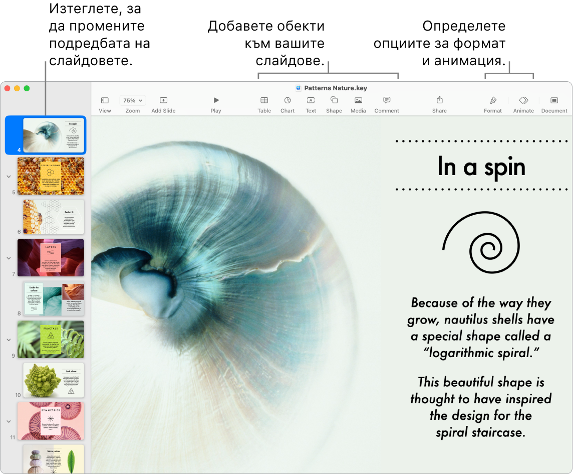 Прозорец на Keynote, показващ навигатора за слайдове вляво с указание как да пренареждате слайдовете, лентата с инструменти с нейните инструменти за редактиране горе, бутона Collaborate (Сътрудничество) горе вдясно и бутоните Format (Форматиране) и Animate (Анимация) вдясно.