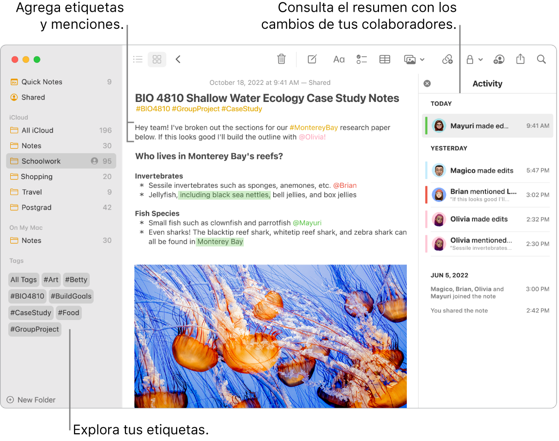 Una ventana de Notas en la visualización como galería con texto indicando las etiquetas en la barra lateral. En la nota principal, hay texto que indica una etiqueta y una mención. En la parte derecha hay una lista de actividades con texto indicando la visualización de un resumen de las actualizaciones.