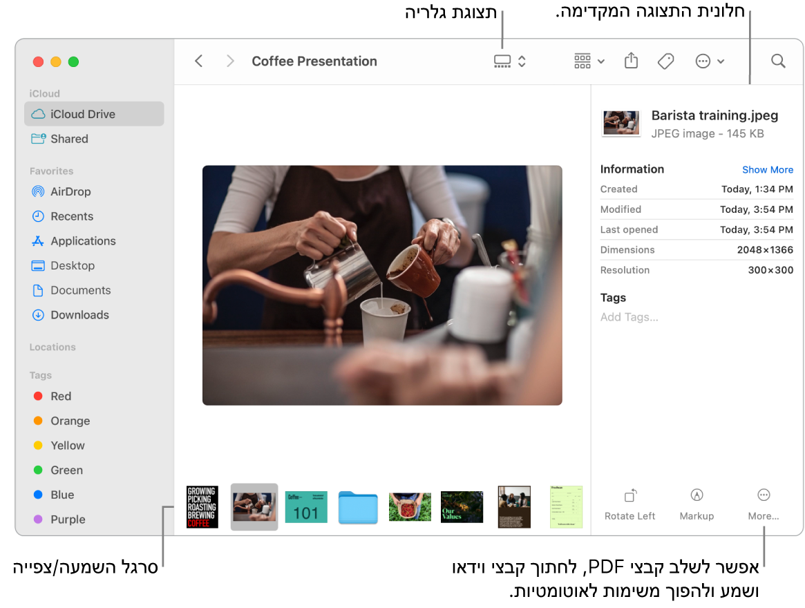 חלון Finder הפתוח ב״תצוגת גלריה״ ומציג תמונה גדולה ומתחתיה שורה של תמונות קטנות יותר - פס הגלילה לניווט. פקדים לסיבוב, לסימון ולפעולות נוספות מופיעים מימין לפס הגלילה לניווט.