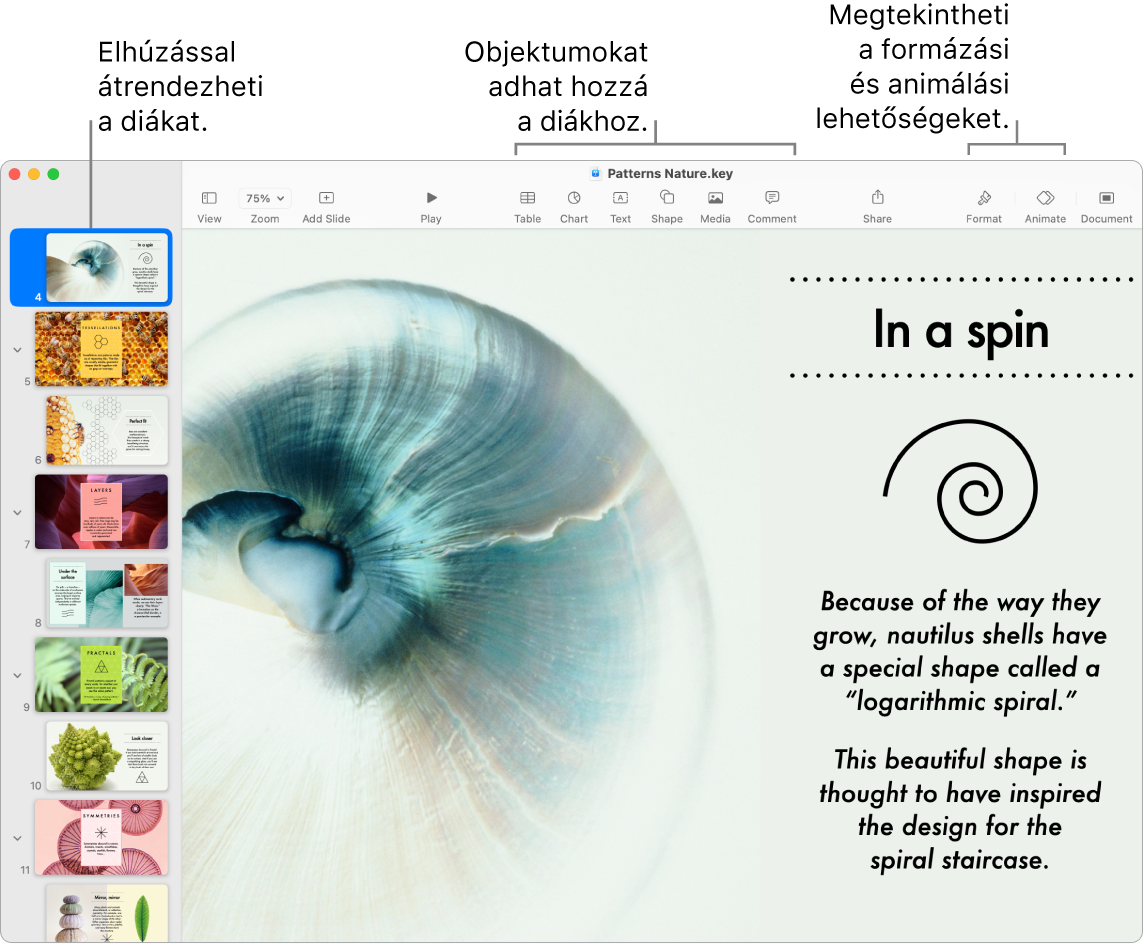 A Keynote ablaka a dianavigátorral és a diák átrendezésére szolgáló lehetőségekkel a bal oldalon, az eszközsor a szerkesztési eszközökkel a felső részen, az Együttműködés gombbal a jobb felső sarokban és a Formázás és Animálás gombokkal a jobb oldalon.