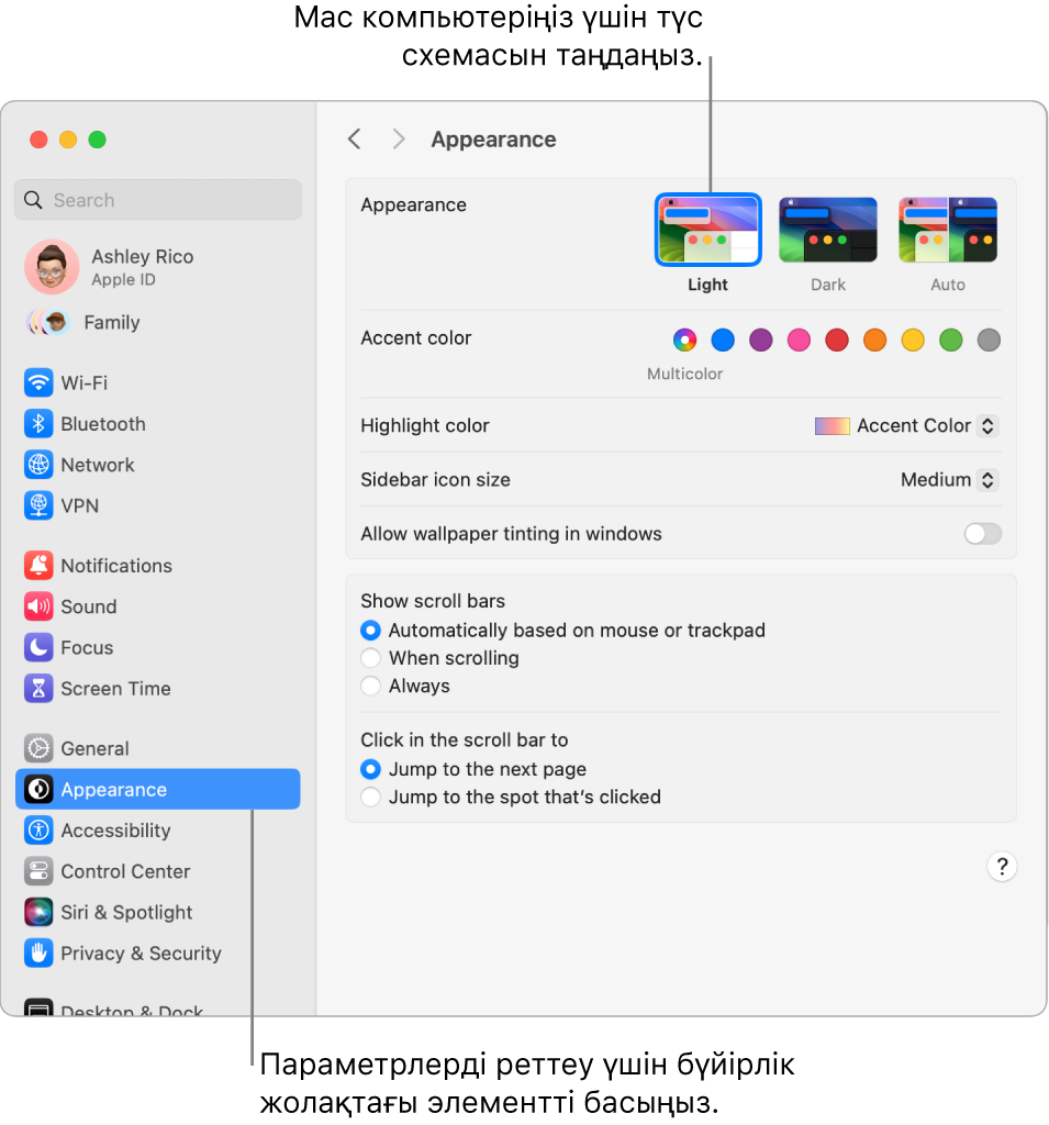 System Settings тармағындағы Appearance параметрлері.
