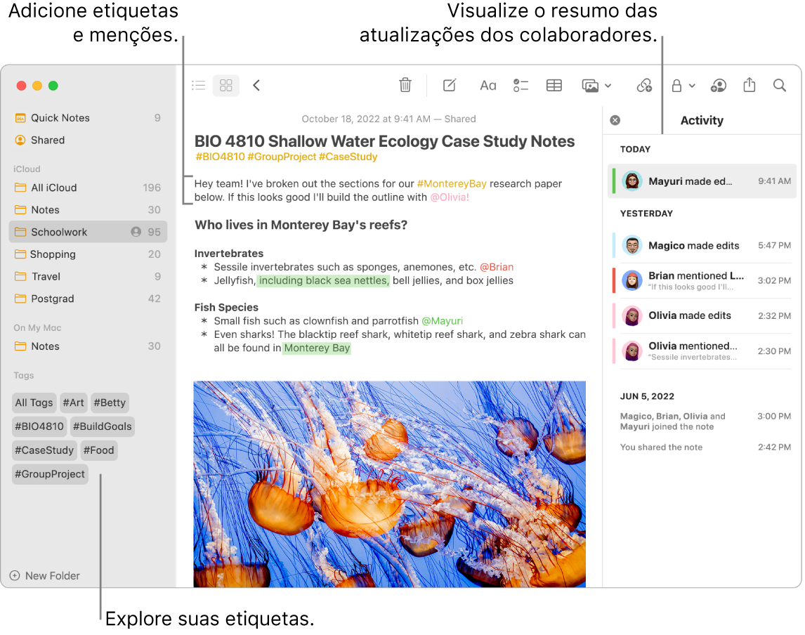 Janela do app Notas na visualização de Galeria com uma chamada para as etiquetas na barra lateral. Na nota principal, há uma chamada para uma etiqueta e uma menção. À direita, uma lista de atividade com uma chamada para visualizar um resumo das atualizações.