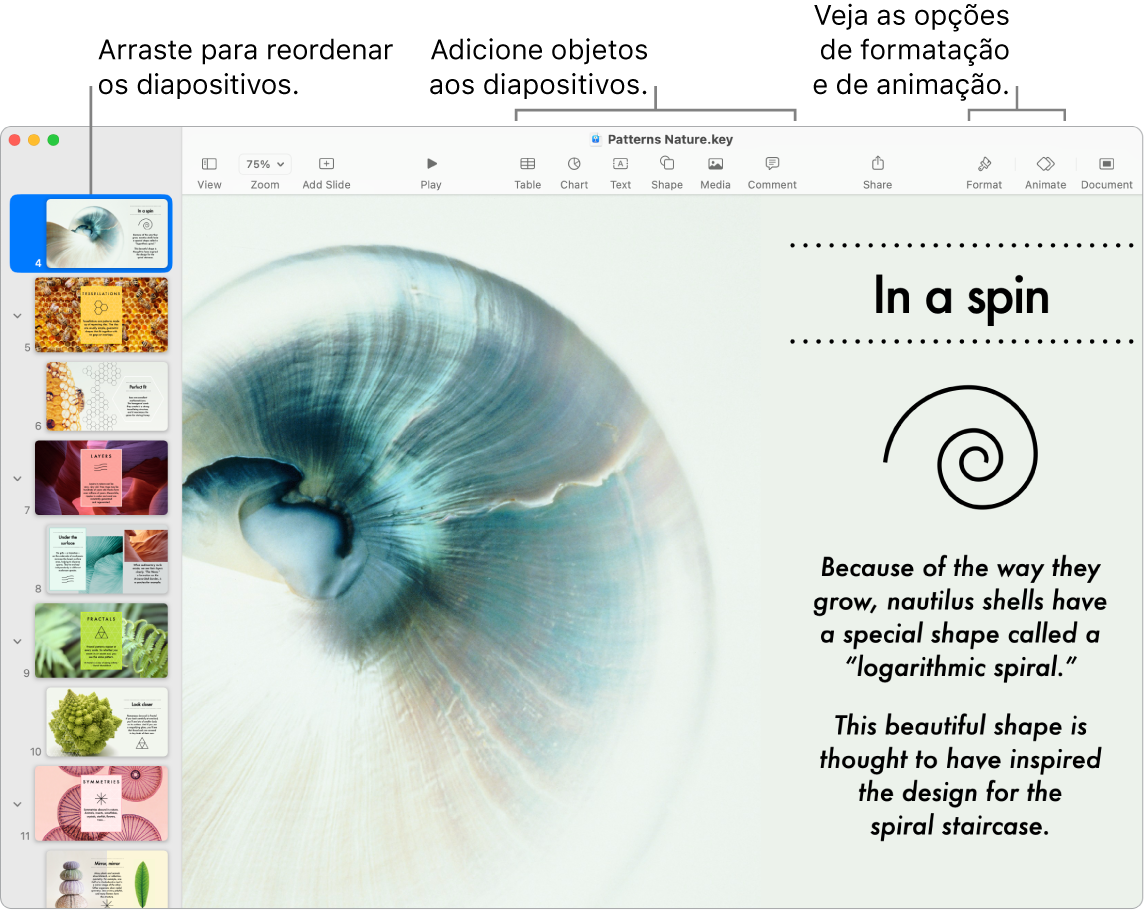 Uma janela do Keynote a mostrar o navegador de diapositivos à esquerda e como reordenar diapositivos, a barra de ferramentas e as respetivas ferramentas de edição na parte superior, o botão Colaborar na parte superior direita e os botões Formato e Animação à direita.