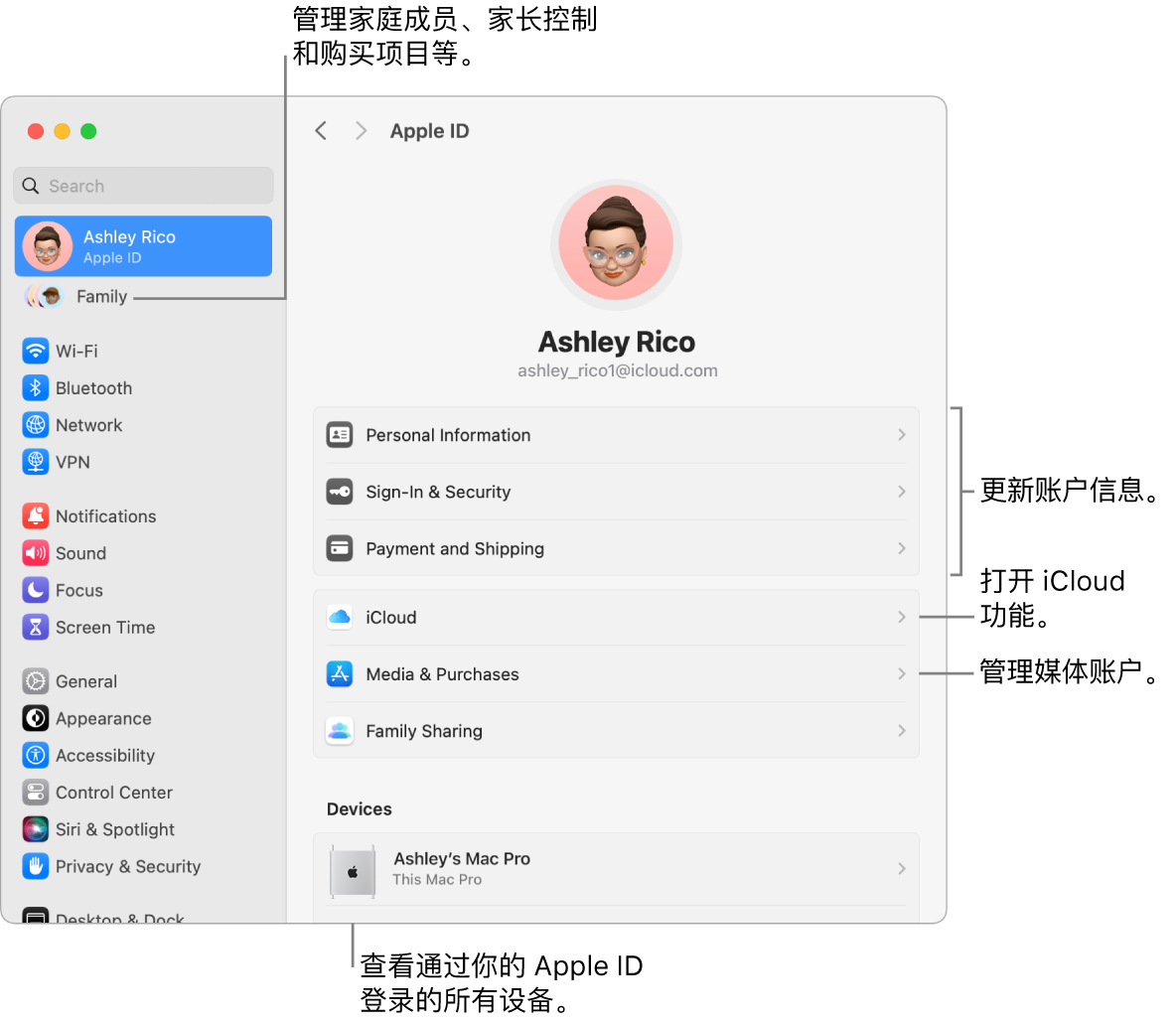 “系统设置”中的 Apple ID 面板，包含更新账户信息、打开或关闭 iCloud 功能、管理媒体账户和“家人共享”（可在其中管理家庭成员、家长控制和购买项目等等）的标注。