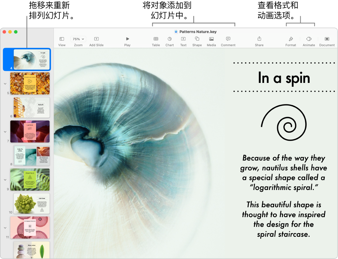 Keynote 讲演窗口，左侧显示幻灯片导航器和如何重新排序幻灯片，顶部是工具栏及其编辑工具，右上方附近是“协作”按钮，右侧是“格式”和“动画效果”按钮。
