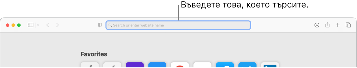 Изрязан прозорец на Safari с надпис за всяко поле в гораната част на прозореца.