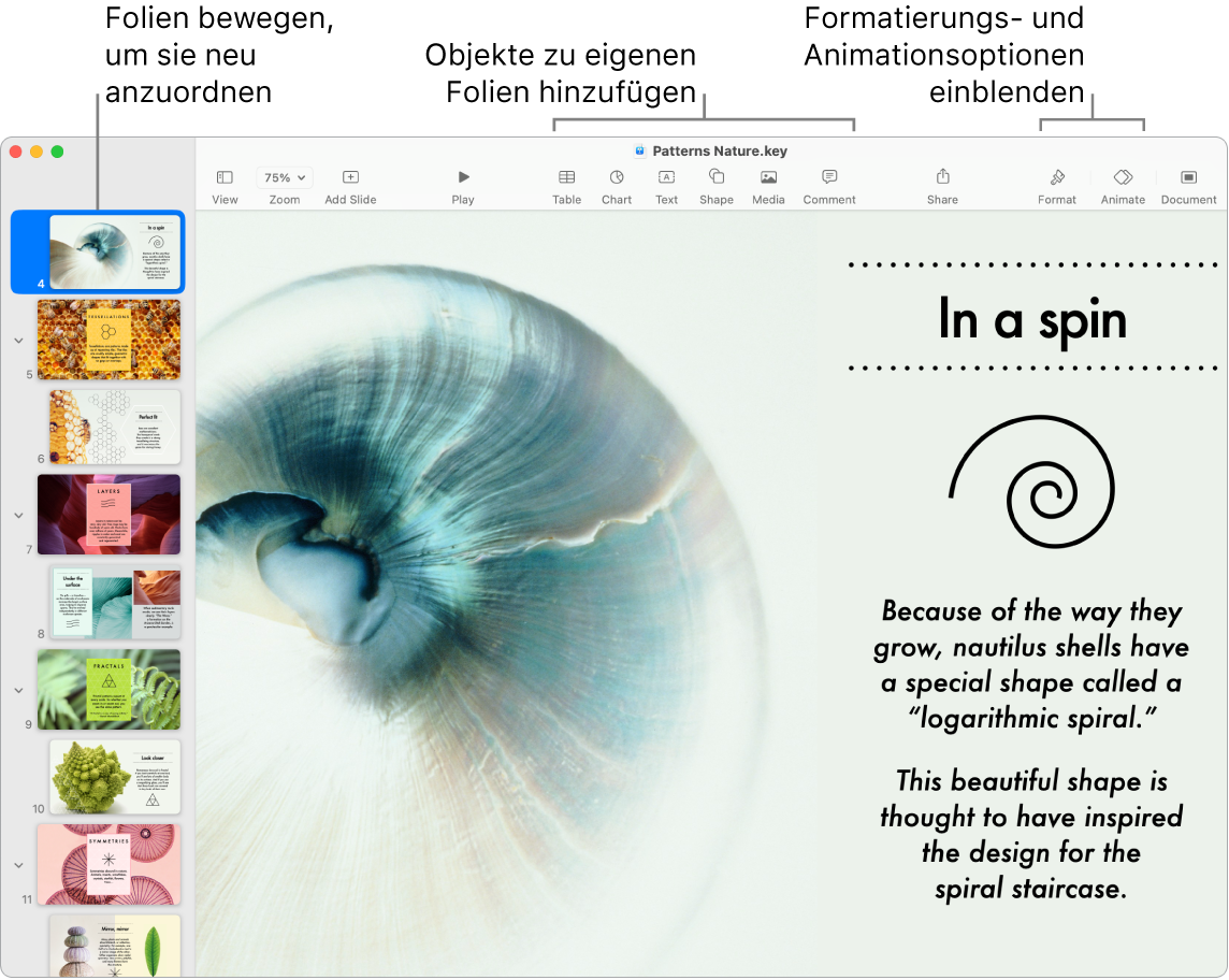 Ein Keynote-Fenster mit dem Foliennavigator links und Informationen zum Neuanordnen von Folien, der Symbolleiste und den Bearbeitungswerkzeugen oben, der Taste „Zusammenarbeiten“ oben rechts und den Tasten „Format“ und „Animieren“ rechts.