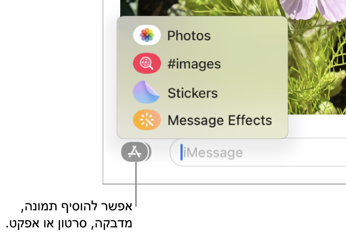 תפריט ״יישומים״ עם אפשרויות להצגת תמונות, מדבקות, תמונות GIF ואפקטים של הודעות.