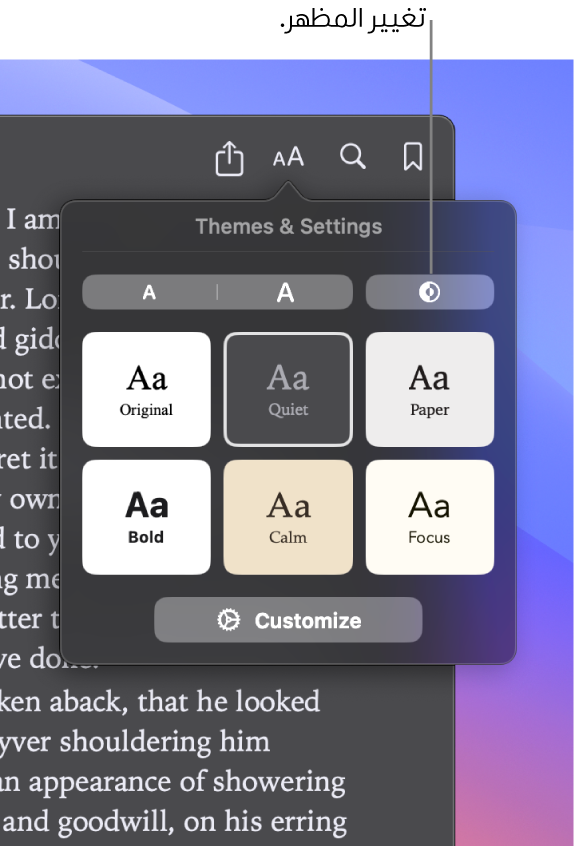 نافذة في تطبيق الكتب تعرض قائمة المظهر.