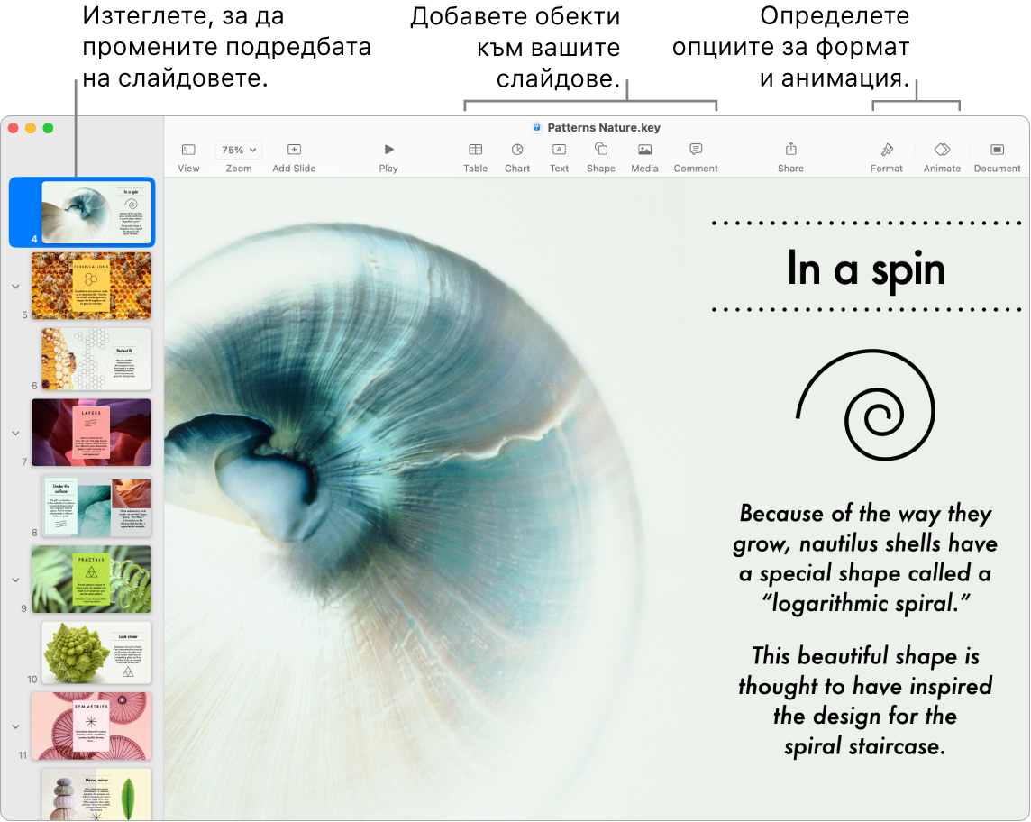 Прозорец на Keynote, показващ навигатора за слайдове вляво с указание как да пренареждате слайдовете, лентата с инструменти с нейните инструменти за редактиране горе, бутона Collaborate (Сътрудничество) горе вдясно и бутоните Format (Форматиране) и Animate (Анимация) вдясно.