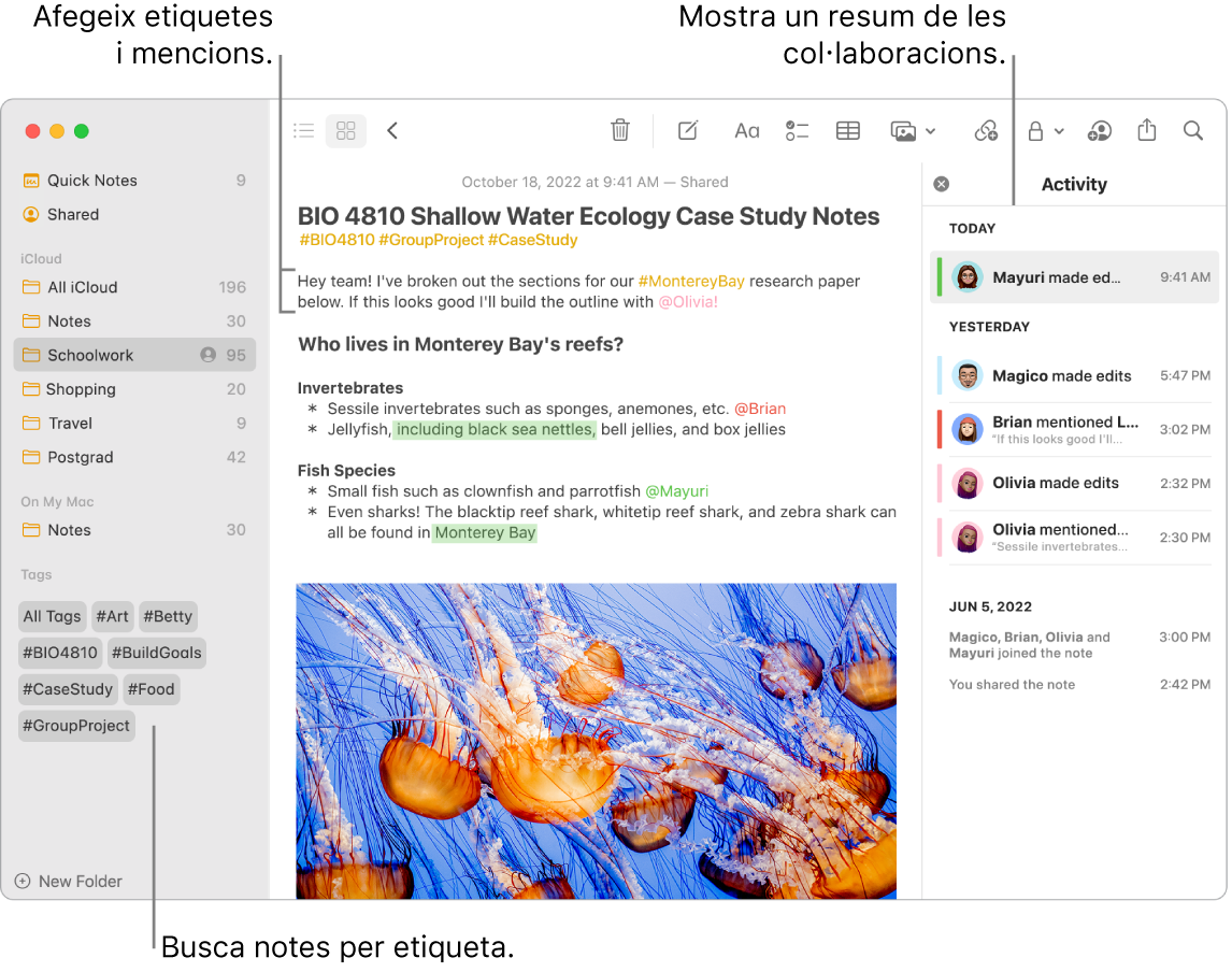 Una finestra de l’app Notes en visualització en galeria amb una llegenda de les etiquetes de la barra lateral. A la nota principal hi ha la llegenda d’una etiqueta i una menció. A la dreta hi ha una llista d’activitat amb una llegenda que mostra un resum de les actualitzacions.