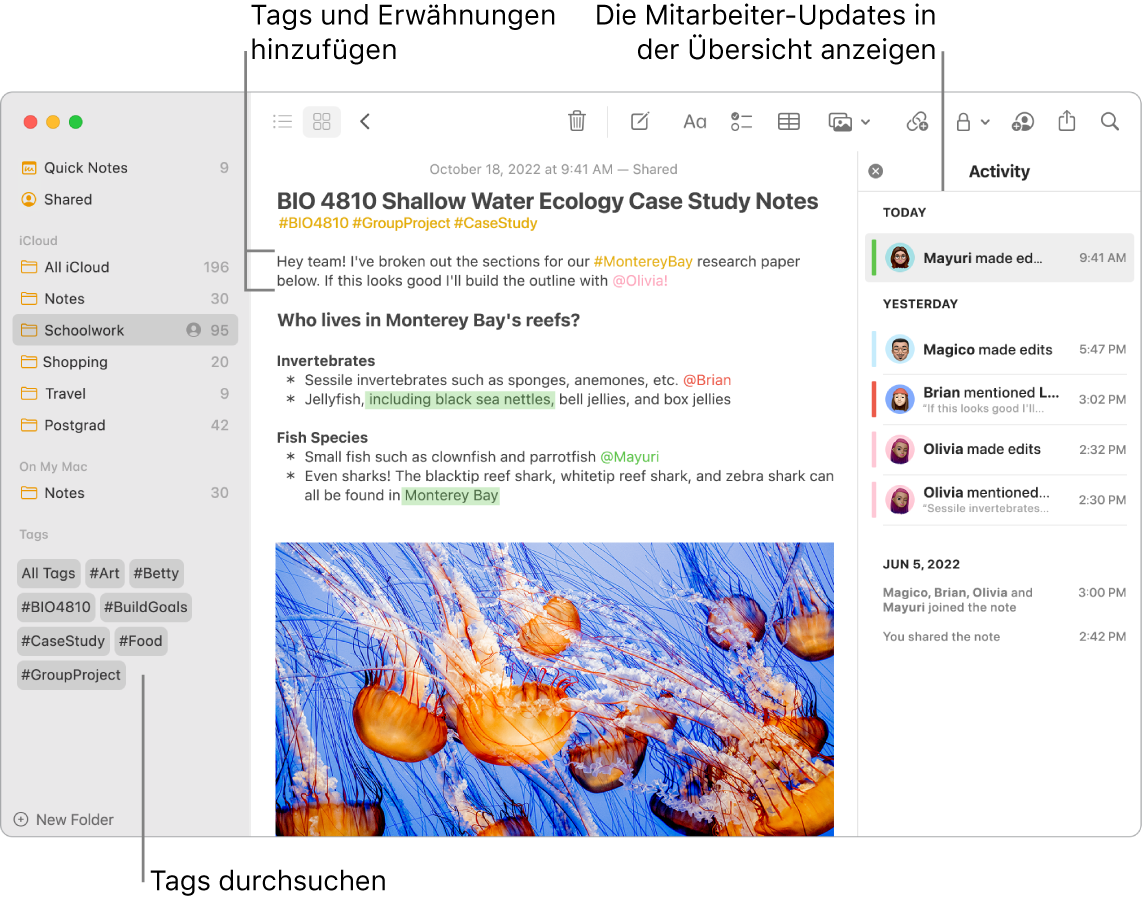 Ein Notizen-Fenster in der Galerie mit einer Beschriftung für die Tags in der Seitenleiste. In der Hauptnotiz ist eine Beschriftung für ein Tag und eine Erwähnung zu sehen. Rechts befindet sich eine Aktivitätsliste mit einer Beschriftung zum Anzeigen einer Zusammenfassung der aktuellen Infos.