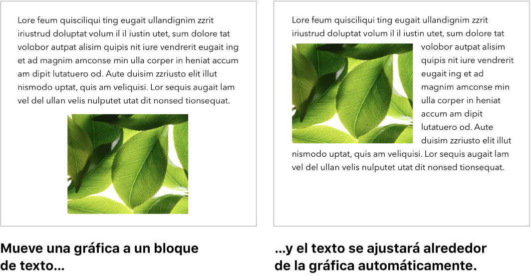 Una ventana de Pages mostrando cómo el texto se ajusta alrededor de las imágenes.