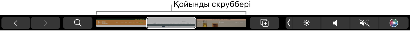 Артқа және алға көрсеткілері, іздеу түймесі, қойынды скруббері және Add Bookmark түймесі бар Safari Touch Bar.