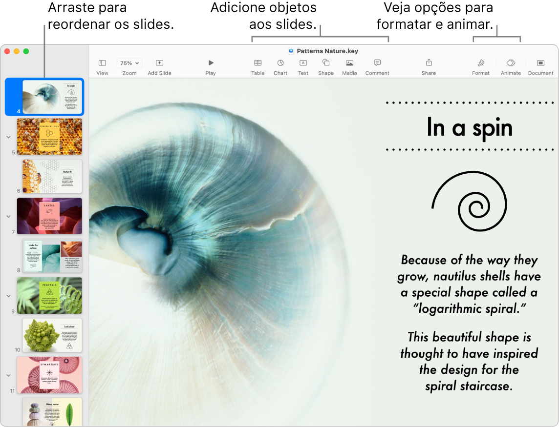 Uma janela do Keynote mostrando o navegador de slides à esquerda e como reordenar slides, a barra de ferramentas e as ferramentas de edição na parte superior, o botão Colaborar próximo à parte superior direita e os botões Formatar e Animar à direita.