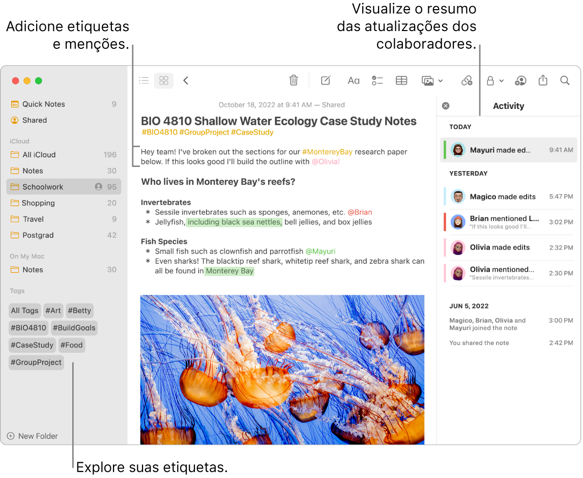 Janela do app Notas na visualização de Galeria com uma chamada para as etiquetas na barra lateral. Na nota principal, há uma chamada para uma etiqueta e uma menção. À direita, uma lista de atividade com uma chamada para visualizar um resumo das atualizações.