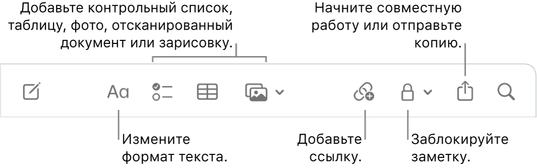 Панель инструментов в приложении «Заметки». Выносками отмечены инструменты форматирования, добавления списка, таблицы, ссылки, мультимедиа, кнопка для установки пароля, кнопка «Поделиться» и кнопка «Отправить копию».