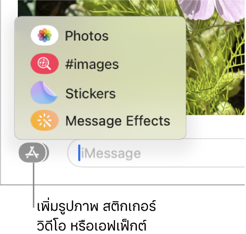 เมนูแอปที่มีตัวเลือกสำหรับการแสดงรูปภาพ, สติกเกอร์, GIF และเอฟเฟ็กต์ข้อความ