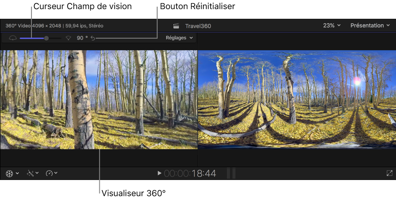 Curseur Champ visuel, bouton Réinitialiser et menu local Réglages au-dessus du visualiseur 360°