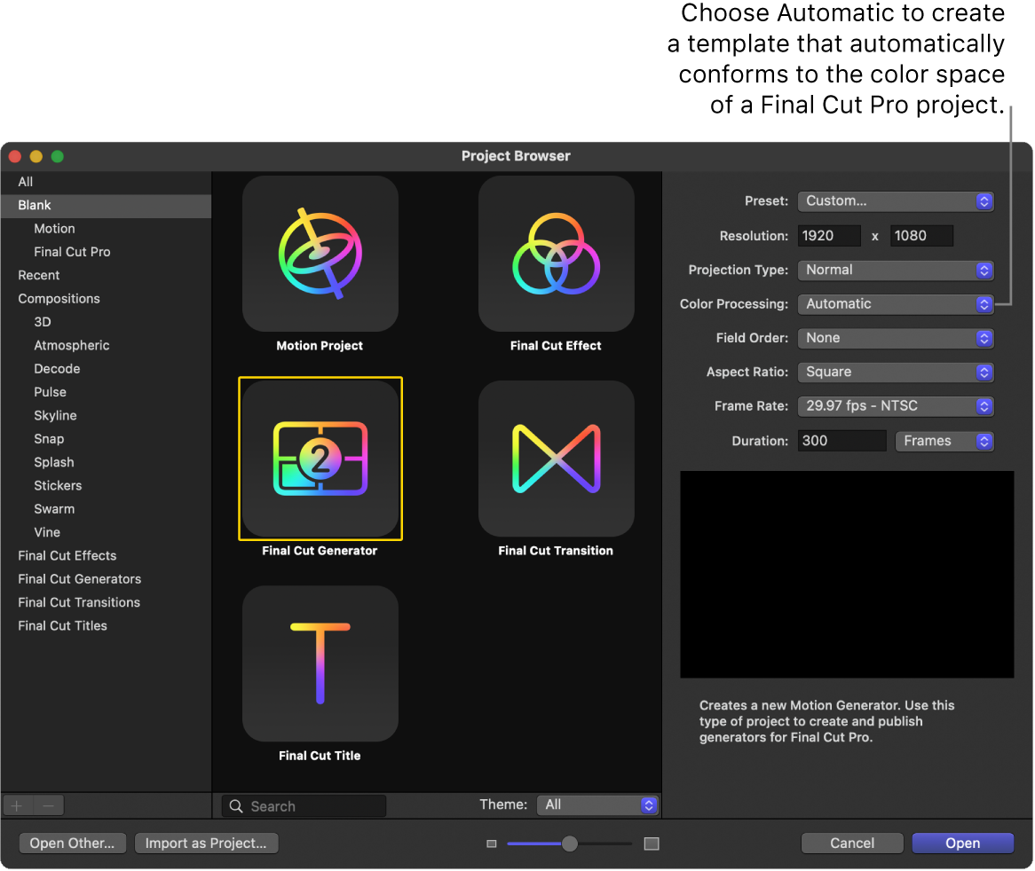 Projektübersicht mit ausgewähltem Symbol „Final Cut-Generator“ und gewählter Option „Automatisch“ für den Parameter „Farbverarbeitung“