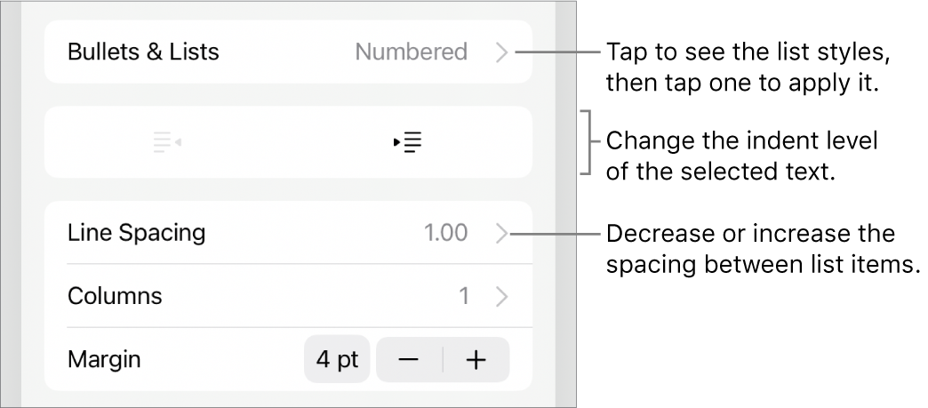 The Bullets & Lists section of the Format controls with callouts to Bullets & Lists, outdent and indent buttons, and line spacing controls.