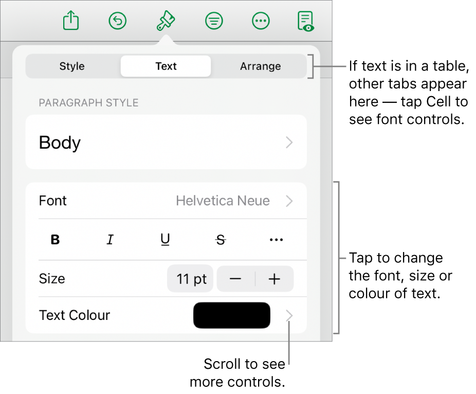 Text controls in the Format menu for setting paragraph and character styles, font, size and colour.