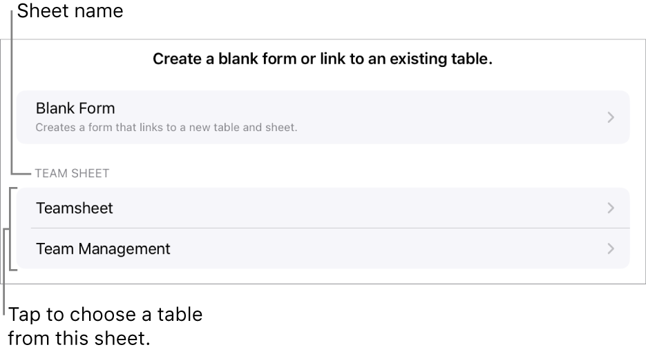 A list of tables that are in the same spreadsheet with the option to create a blank form at the top.