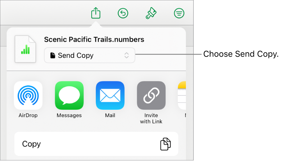 The Share menu with Send Copy selected at the top.