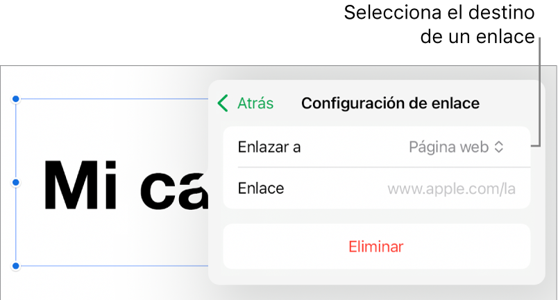 Los controles de Configuración de enlace con la opción Página web seleccionada, y el botón Eliminar en la parte de abajo.