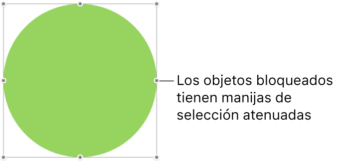 Un objeto bloqueado con manijas de selección atenuadas.