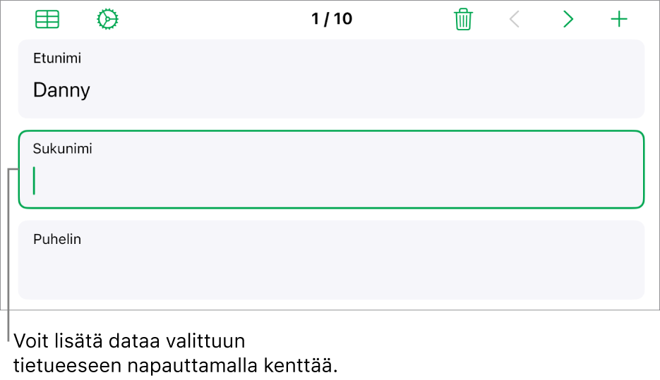 Lomakkeen tietue, jossa näkyy aktiivinen kenttä ja lisäyskohta.