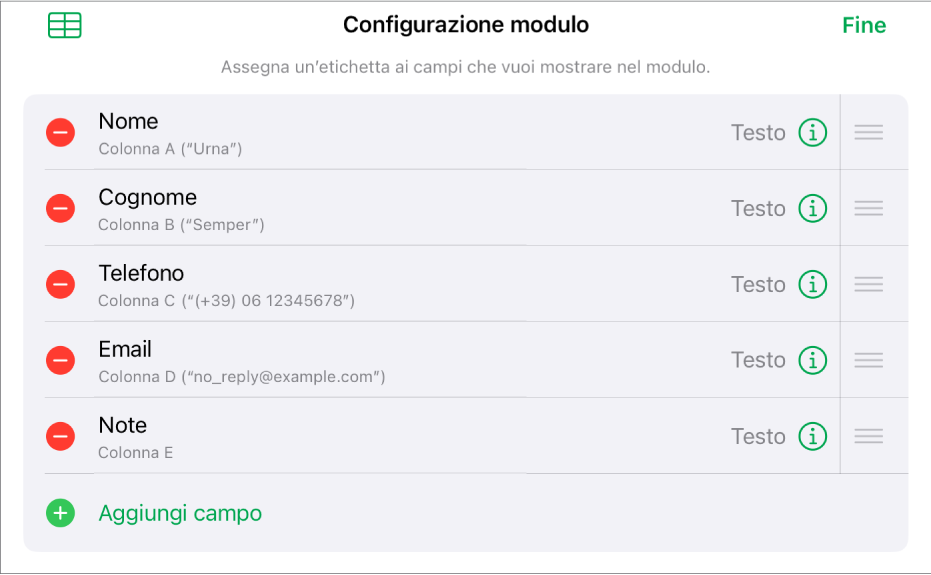 I controlli di configurazione del modulo con le opzioni per aggiungere, modificare, ordinare ed eliminare campi, così come per modificarne il formato (ad esempio, da Testo a Percentuale).