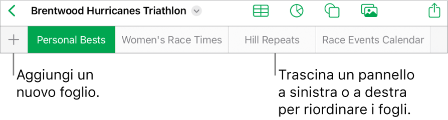 Barra dei pannelli per aggiungere un nuovo foglio, navigare, riordinare e riorganizzare i fogli.