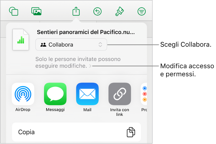 Il menu di condivisone con l’opzione Collabora selezionata in alto e le impostazioni di accesso e dei permessi sotto.