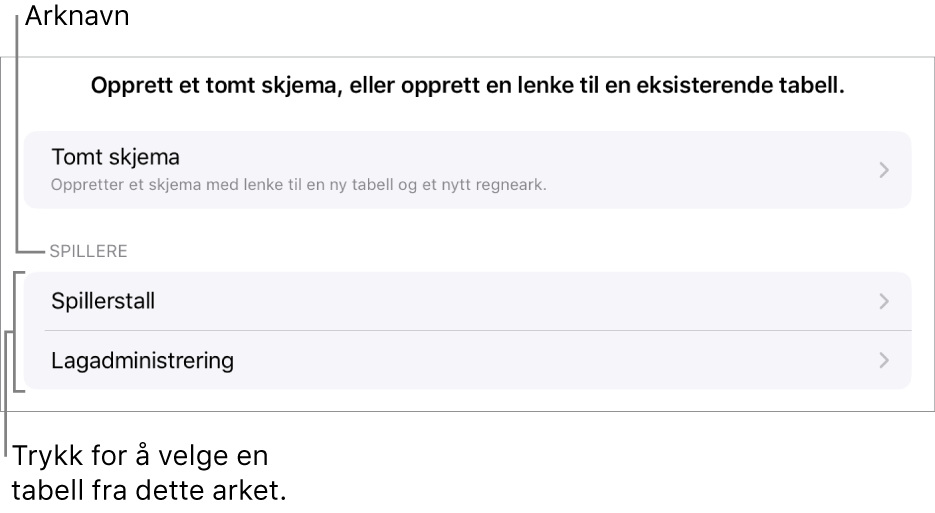 En liste med tabeller som er i samme regneark med mulighet for å opprette et tomt skjema øverst.