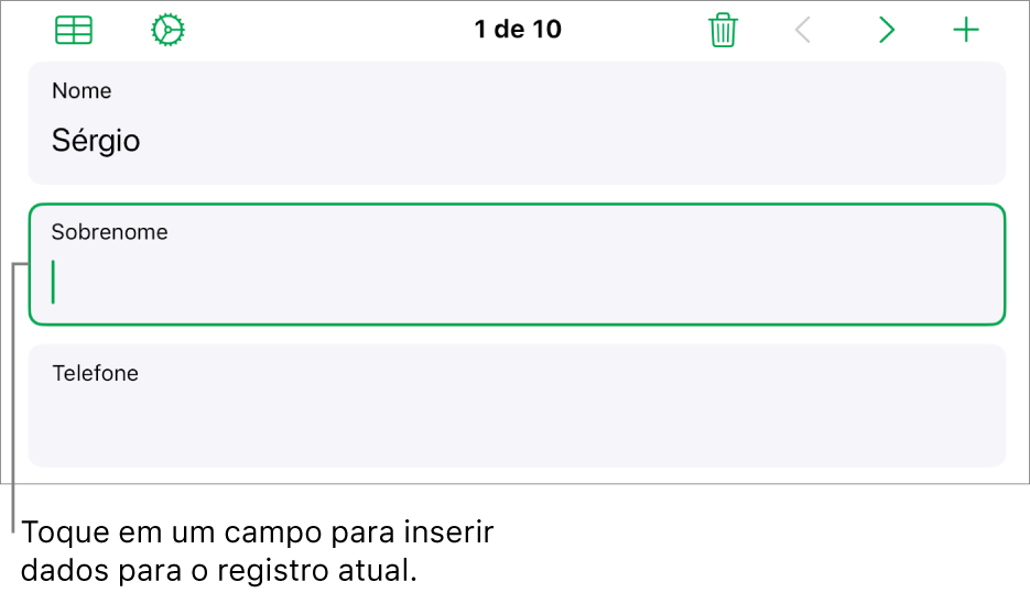 Um registro em um formulário mostrando um campo ativo com um ponto de inserção.