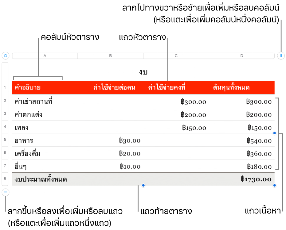 ตารางที่แสดงแถวและคอลัมน์หัวตาราง ตัวตาราง และท้ายตาราง และขอบจับเพื่อเพิ่มหรือลบแถวหรือคอลัมน์