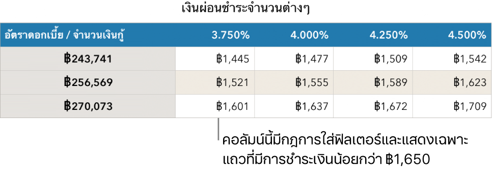 ตารางการจำนองจำที่แสดงหลังจากฟิลเตอร์ให้เหลือแต่อัตราดอกเบี้ยที่คุณจ่ายไหว