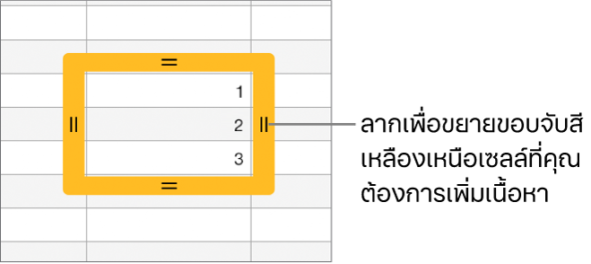 เซลล์ที่เลือกอยู่ที่มีเส้นขอบสีเหลืองขนาดใหญ่ ซึ่งคุณสามารถลากเพื่อป้อนเซลล์อัตโนมัติได้