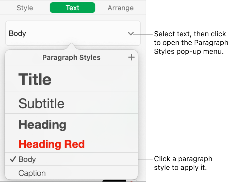 The Paragraph Styles menu with a checkmark next to the selected style.