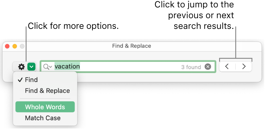 The Find & Replace window with the pop-up menu showing options for Find, Find & Replace, Whole Words, and Match Case. The arrows on the right let you jump to the previous or next search results.