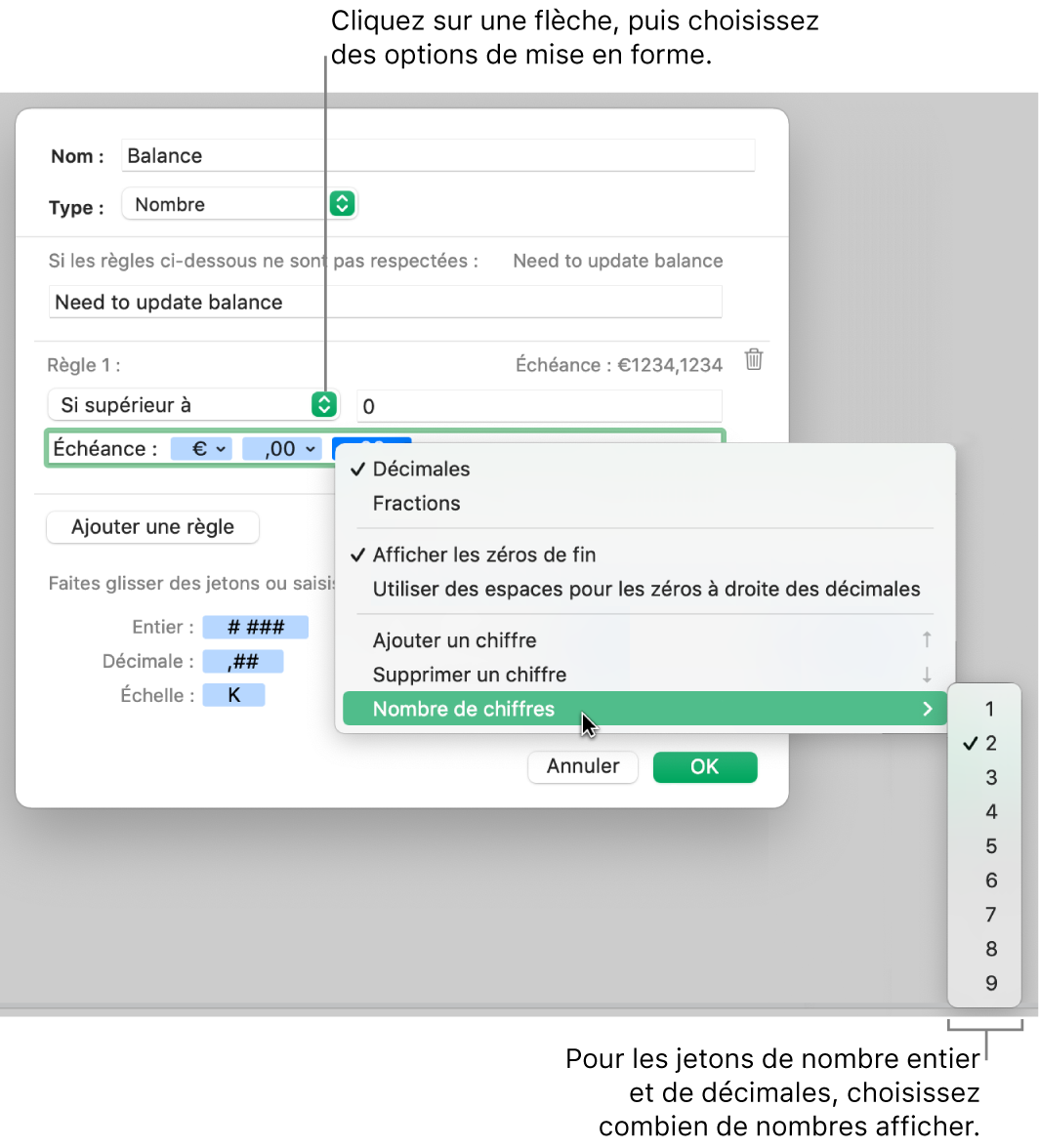 La fenêtre de format de cellule personnalisé présentant les commandes permettant de choisir des options de mise en forme personnalisée.