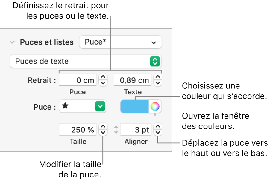 Section Puces et listes accompagnée des légendes des commandes pour le retrait des puces et du texte, la couleur des puces, leur taille et leur alignement.