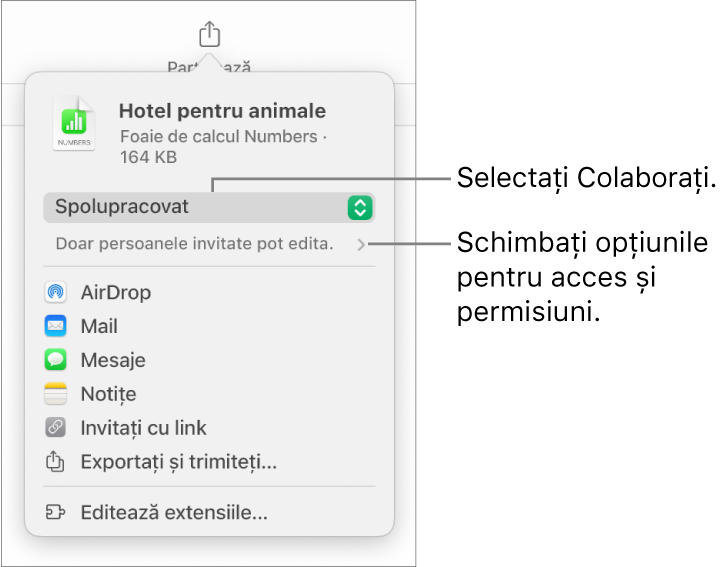 Meniul Partajați, cu opțiunea Colaborați selectată în partea de sus și configurările de acces și permisiune dedesubt.