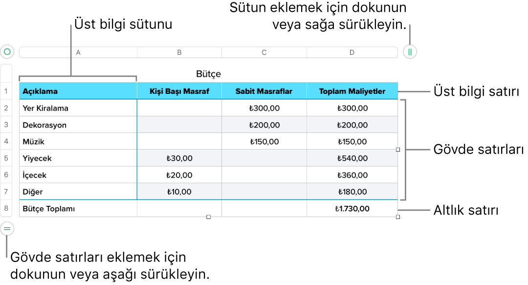 Üst bilgi, gövde ve dipnot satırlarını ve sütunlarını ve satır veya sütun eklemek ya da silmek için tutamakları gösteren bir tablo.