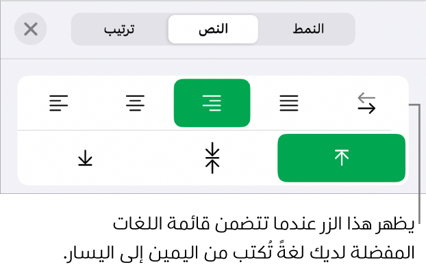 قسم النمط في قائمة التنسيق مع وسيلة شرح لزر "من اليمين إلى اليسار".