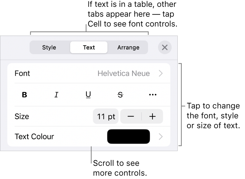 Text controls in the Format menu for setting paragraph and character styles, font, size and colour.